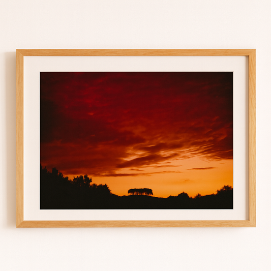 Nearly There Trees at Sunset Landscape - Print or in a Frame