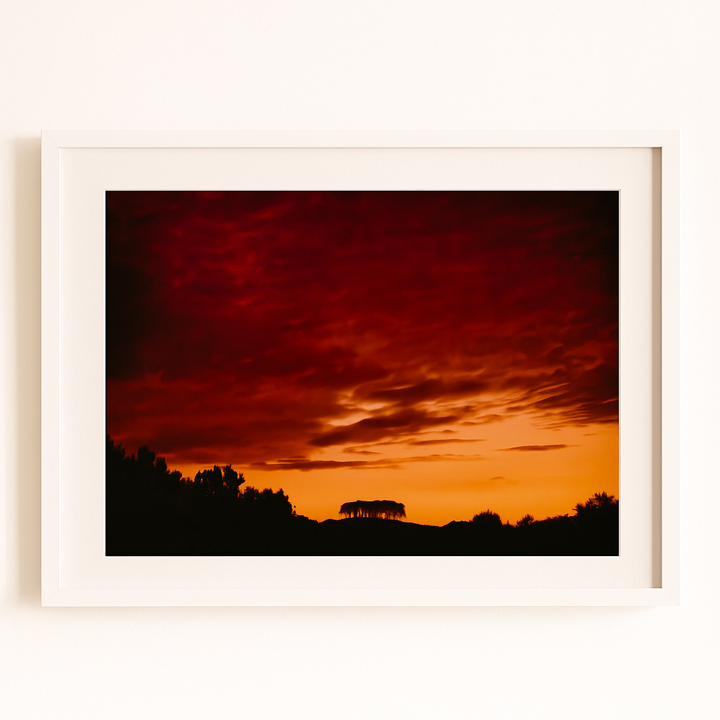 Nearly There Trees at Sunset Landscape - Print or in a Frame