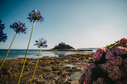 St Michael's Mount Flowers Landscape - Print or in a Frame
