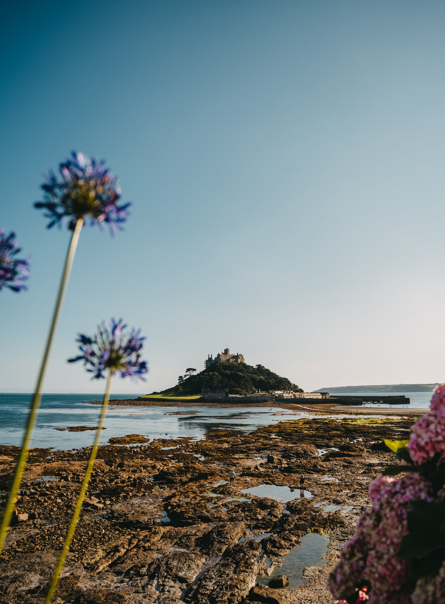 St Michael's Mount Flowers Portrait - Print or in a Frame